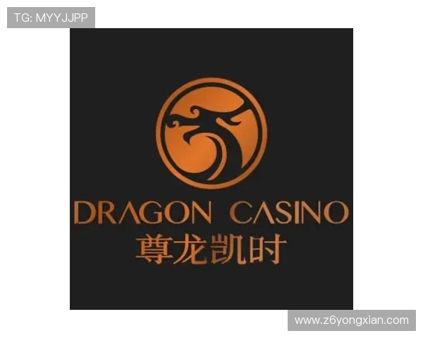 尊龙时凯人生官网电脑版注册流程与账号安全保障