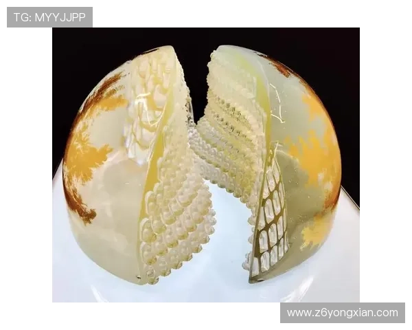 揭秘尊龙凯时官方网站的用户体验，看看玩家的真实反馈与评价