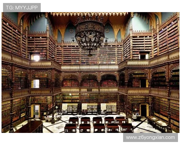 D88尊龙在线官网提供的丰富游戏种类与高额返水优惠详解