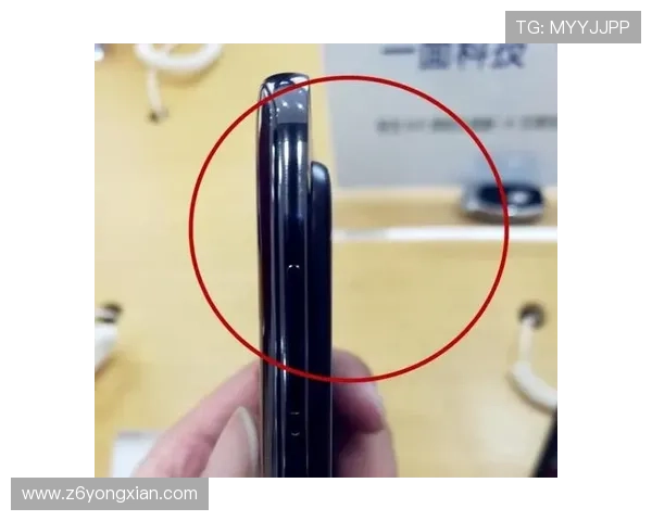 全面介绍Z5体育下载的操作步骤与使用技巧指南