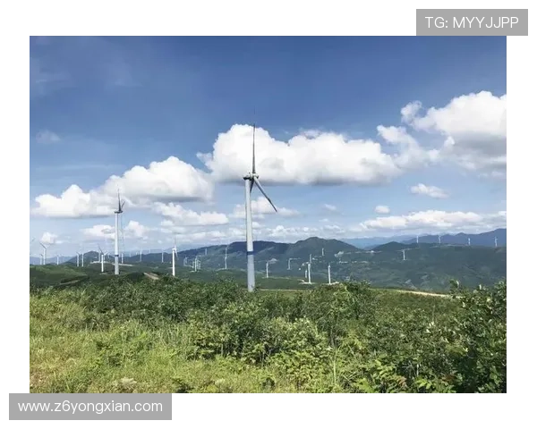 凯时集团企业社会责任履行情况:公益项目、环保措施与社会影响分析 凯时集团企业社会责任履行情况:公益项目、环保措施与社会影响分析