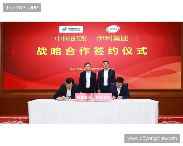 深入了解尊龙凯时电脑版官网的客户服务团队与支持方式